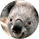 Amir Amirul profile picture