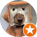 Xue Q. profile picture